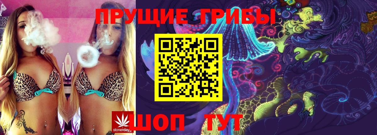 Галлюциногенные грибы Cubensis Мичуринск